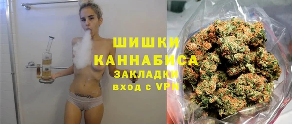 твердый Арсеньев