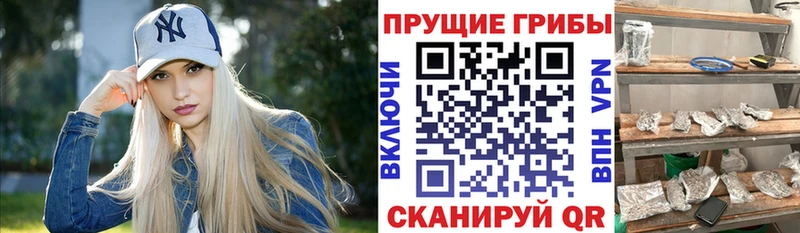 Псилоцибиновые грибы прущие грибы  Сосногорск 